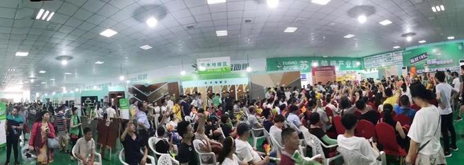 兔寶寶環(huán)保行7月29日蘇州站 綠色裝飾，感恩回饋